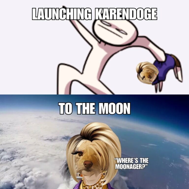 karen to the moon